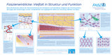 Fascia poster: Fascia Insights – Diversity in Structure and Function - Download